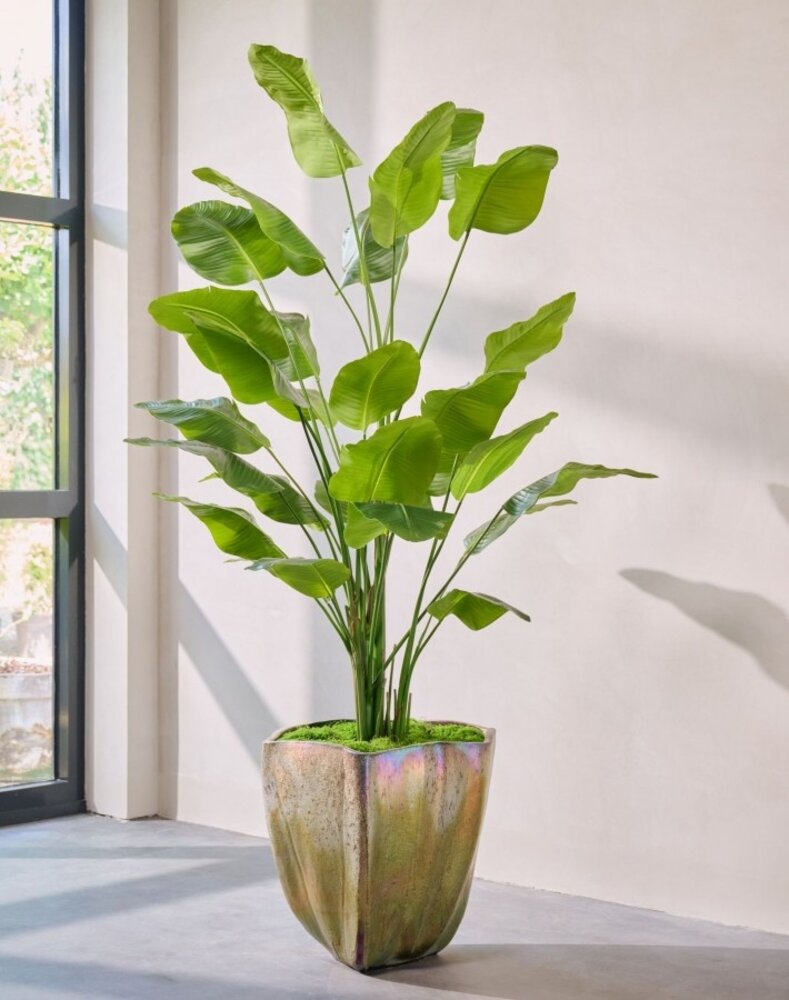 SILK-KA Strelitzia artificielle verte | 300 cm SILK-KA Strelitzia artificielle verte | 300 cm