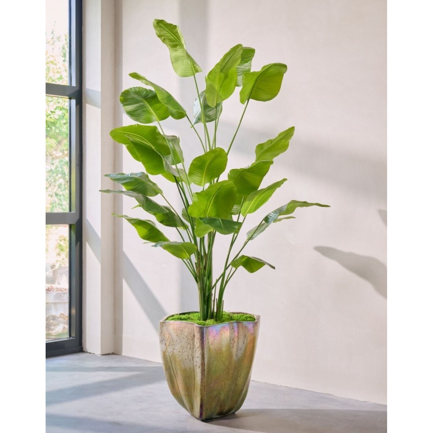 Knstliche Strelitzie, grn | 300 cm - NU PUUR & GROEN B.V.