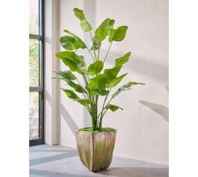 SILK-KA Kunstplant Strelitzia groen | 300 cm