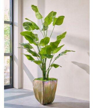 SILK-KA Artificial Strelitzia plant green | 300 cm