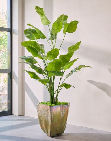 SILK-KA Kunstplant Strelitzia groen | 300 cm SILK-KA Kunstplant Strelitzia groen | 300 cm