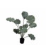 SILK-KA Planta de loto artificial verde | 120 cm