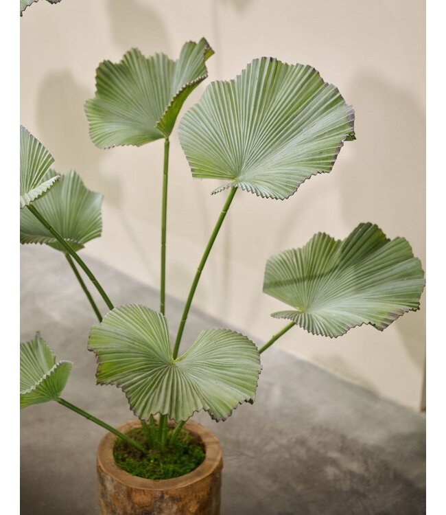SILK-KA Lotus artificiel vert | 120 cm