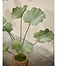 SILK-KA Kunstplant Lotus groen | 120 cm