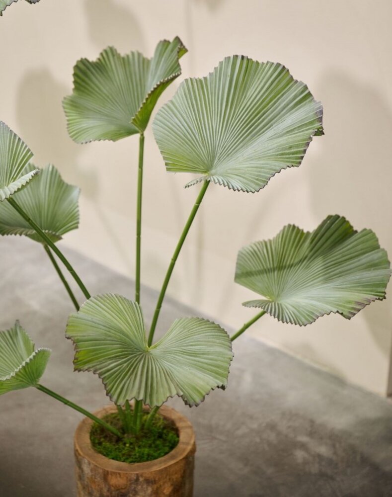 SILK-KA Kunstplant Lotus groen | 90 cm SILK-KA Kunstplant Lotus groen | 90 cm