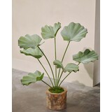 SILK-KA Kunstplant Lotus groen | 90 cm