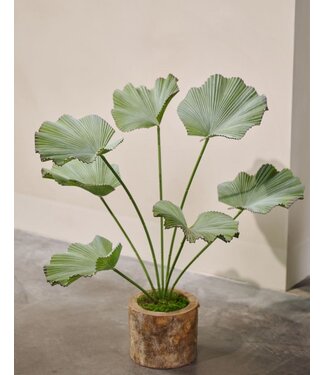SILK-KA Artificial Lotus plant green | 90 cm