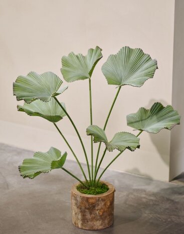 SILK-KA Künstliche Lotusblume, grün | 90 cm SILK-KA Künstliche Lotusblume, grün | 90 cm