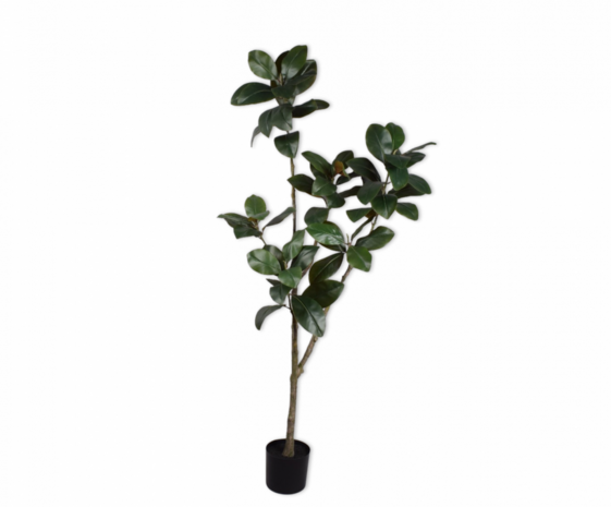 SILK-KA Artificial Ficus green | 200 cm