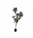 SILK-KA Kunstplant Ficus groen | 200 cm