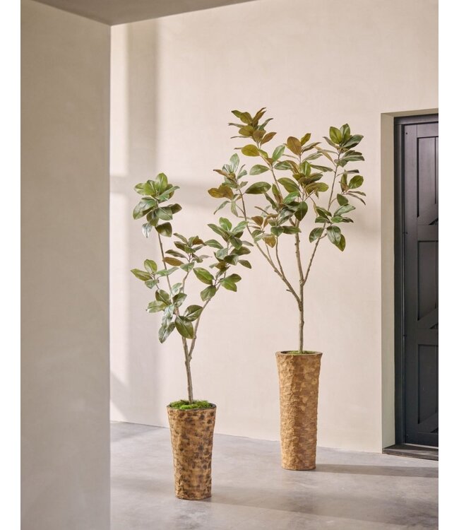SILK-KA Kunstplant Ficus groen | 200 cm