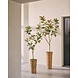SILK-KA Ficus artificial verde | 200 cm SILK-KA Ficus artificial verde | 200 cm