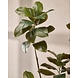 SILK-KA Artificial Ficus green | 200 cm