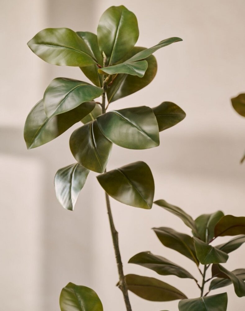 SILK-KA Ficus artificial verde | 230 cm SILK-KA Ficus artificial verde | 230 cm