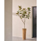 SILK-KA Artificial Ficus green | 230 cm