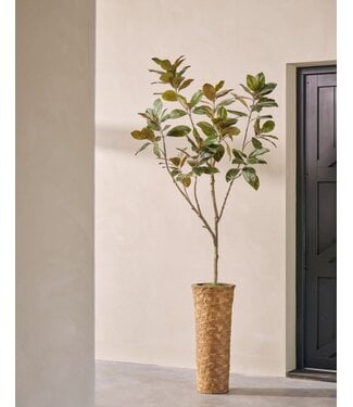 SILK-KA Ficus artificiale verde | 230 cm