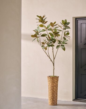 SILK-KA Ficus artificiel vert | 230 cm SILK-KA Ficus artificiel vert | 230 cm