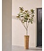 SILK-KA Kunstig ficus grønn | 230 cm