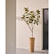 SILK-KA Ficus artificiel vert | 230 cm SILK-KA Ficus artificiel vert | 230 cm