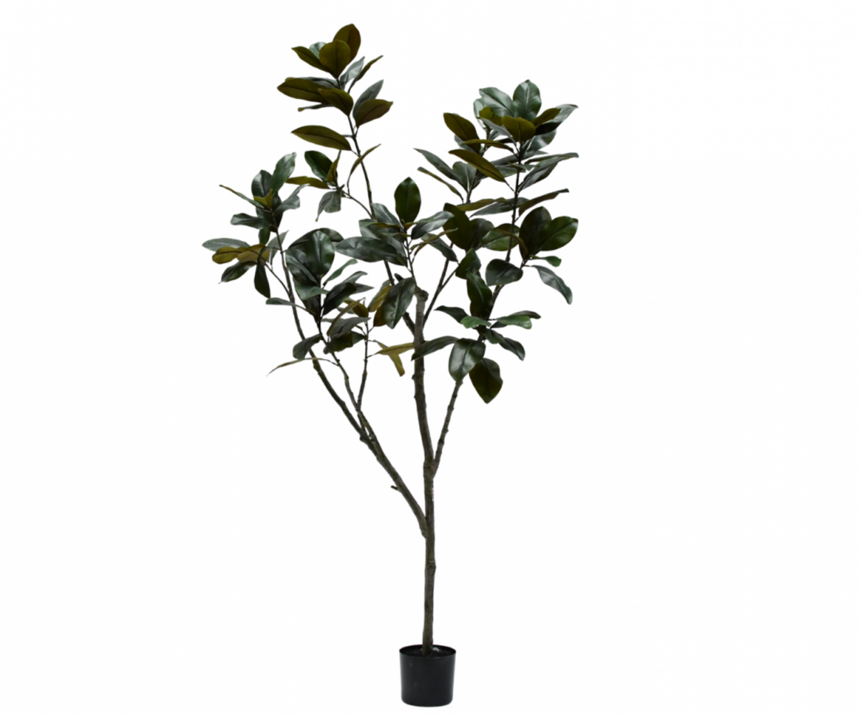 SILK-KA Artificial Ficus green | 230 cm