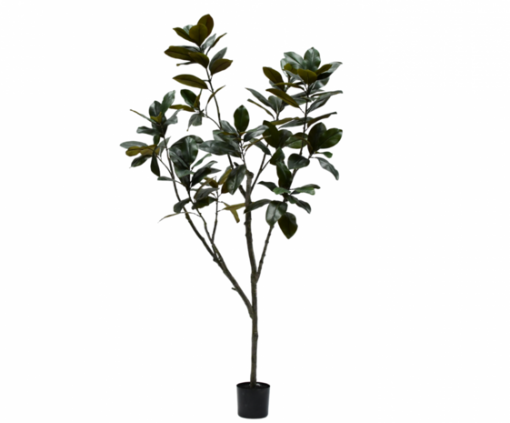 SILK-KA Ficus artificiel vert | 230 cm SILK-KA Ficus artificiel vert | 230 cm