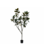 SILK-KA Künstlicher Ficus grün | 230 cm