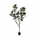 SILK-KA Kunstig ficus grønn | 230 cm SILK-KA Kunstig ficus grønn | 230 cm