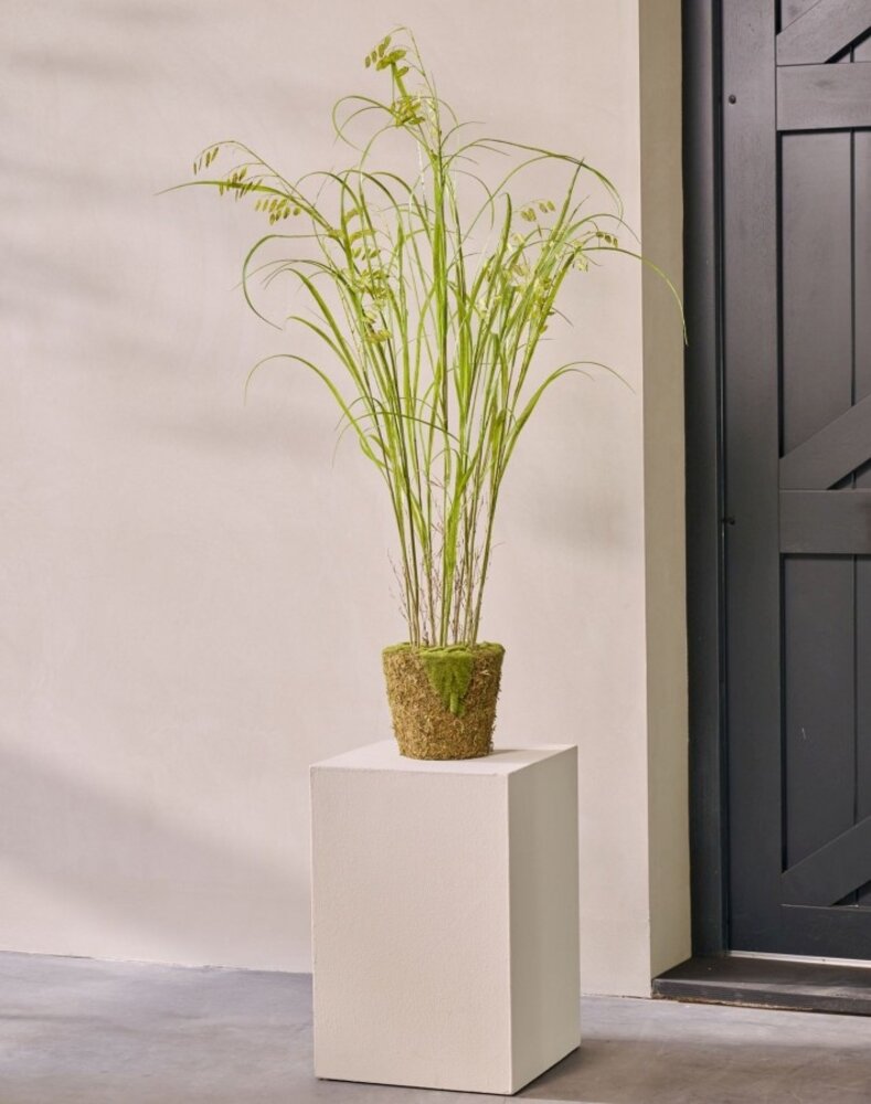 SILK-KA Pianta di erba artificiale su zolla con muschio 150 cm / SILK-KA SILK-KA Pianta di erba artificiale su zolla con muschio 150 cm / SILK-KA