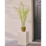 SILK-KA Gazon artificiel sur motte avec mousse 150 cm / SILK-KA SILK-KA Gazon artificiel sur motte avec mousse 150 cm / SILK-KA