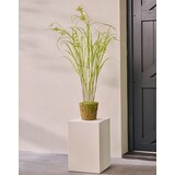 SILK-KA Kunstgressplante på rotklump med mose 150 cm / SILK-KA SILK-KA Kunstgressplante på rotklump med mose 150 cm / SILK-KA