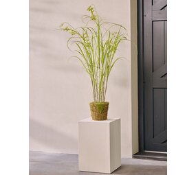 SILK-KA Gazon artificiel sur motte avec mousse 150 cm / SILK-KA SILK-KA Gazon artificiel sur motte avec mousse 150 cm / SILK-KA