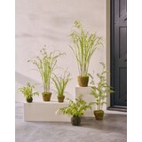 SILK-KA Kunstplant gras op kluit met mos 120 cm / SILK-KA