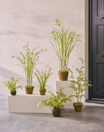 SILK-KA Kunstrasenpflanze auf Wurzelballen mit Moos 74 cm / SILK-KA SILK-KA Kunstrasenpflanze auf Wurzelballen mit Moos 74 cm / SILK-KA