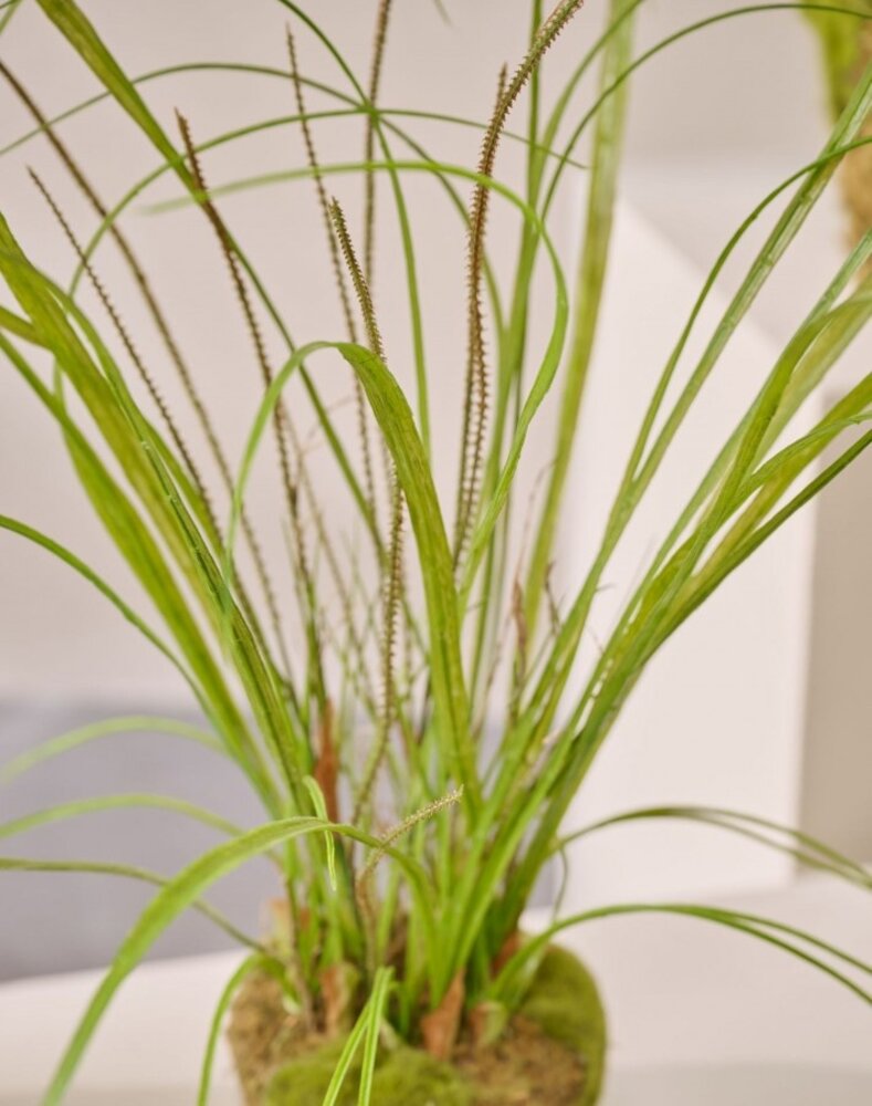 SILK-KA Césped artificial sobre cepellón con musgo 74 cm / SILK-KA SILK-KA Césped artificial sobre cepellón con musgo 74 cm / SILK-KA