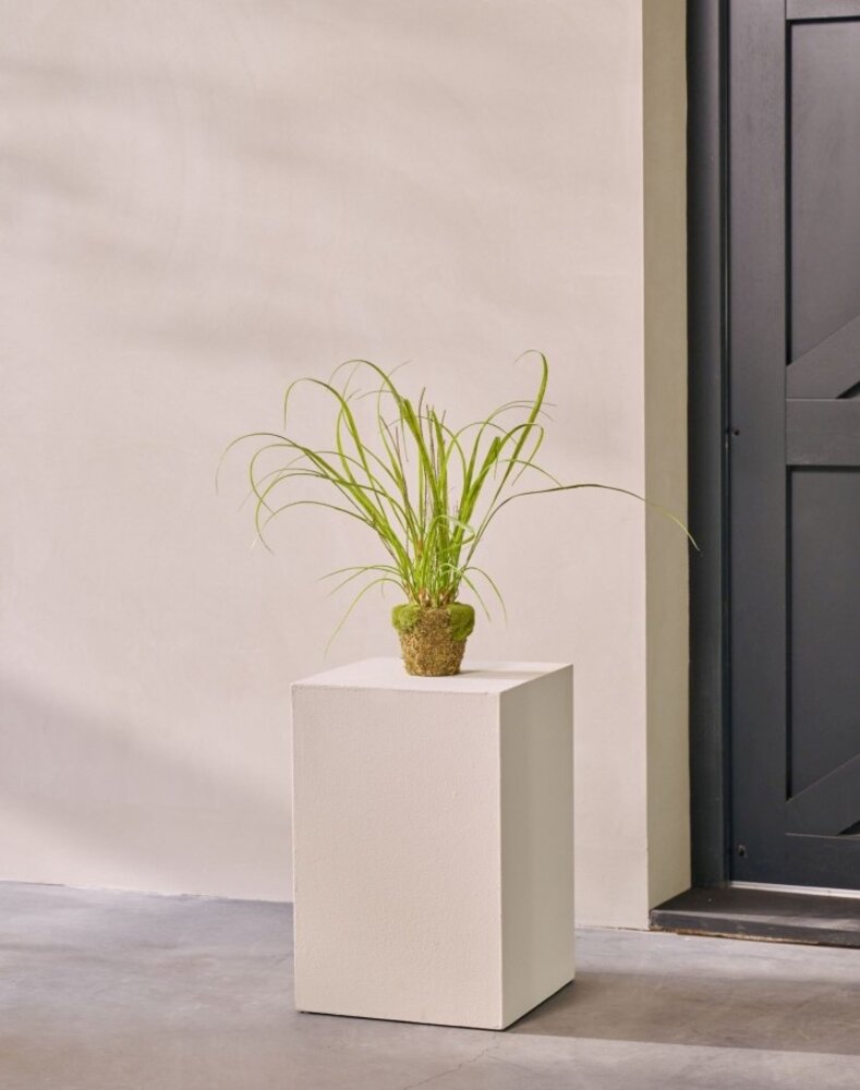 SILK-KA Césped artificial sobre cepellón con musgo 74 cm / SILK-KA SILK-KA Césped artificial sobre cepellón con musgo 74 cm / SILK-KA