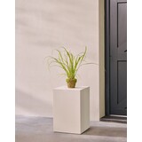 SILK-KA Plante de gazon artificiel sur motte de mousse 74 cm / SILK-KA SILK-KA Plante de gazon artificiel sur motte de mousse 74 cm / SILK-KA