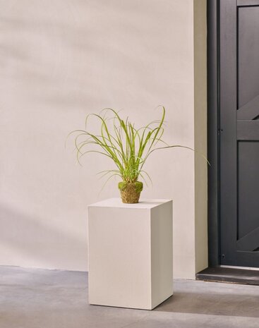 SILK-KA Césped artificial sobre cepellón con musgo 74 cm / SILK-KA SILK-KA Césped artificial sobre cepellón con musgo 74 cm / SILK-KA