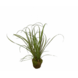 SILK-KA Kunstrasenpflanze auf Wurzelballen mit Moos 74 cm / SILK-KA SILK-KA Kunstrasenpflanze auf Wurzelballen mit Moos 74 cm / SILK-KA