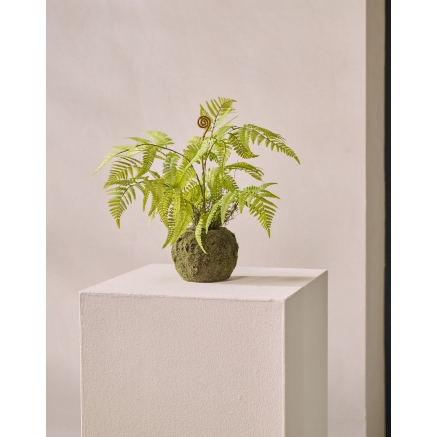 hedera merchandise Dr. Simi Hedera Helix Syrup 4 oz main image 0