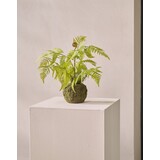 SILK-KA Kunstplant varen met mos op kluit 46 cm / SILK-KA