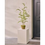 SILK-KA Kunstplant varen op kluit met mos 122 cm / SILK-KA