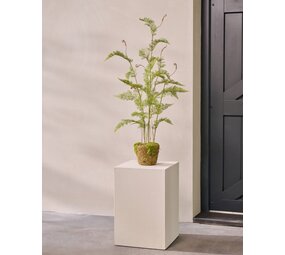 SILK-KA Fougère artificielle sur motte avec mousse 122 cm / SILK-KA