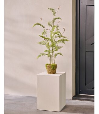 SILK-KA Artificial fern on root ball with moss 122 cm / SILK-KA