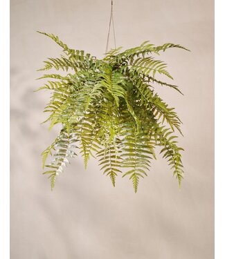 SILK-KA Felce artificiale sospesa verde 122 cm / SILK-KA