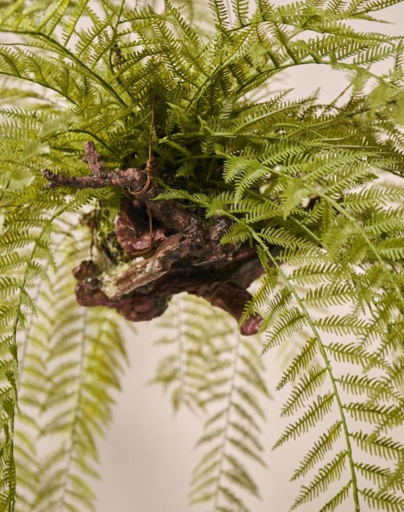 SILK-KA Kunst hangplant varen groen 119 cm / SILK-KA SILK-KA Kunst hangplant varen groen 119 cm / SILK-KA