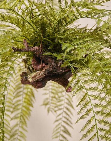 SILK-KA Artificial hanging fern green 119 cm / SILK-KA SILK-KA Artificial hanging fern green 119 cm / SILK-KA