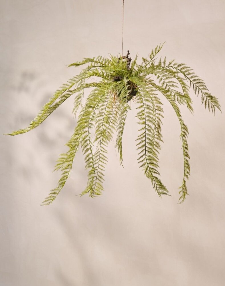 SILK-KA Felce artificiale sospesa verde 119 cm / SILK-KA SILK-KA Felce artificiale sospesa verde 119 cm / SILK-KA