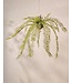 SILK-KA Felce artificiale sospesa verde 119 cm / SILK-KA