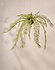 Artificial hanging fern green 119 cm / SILK-KA Artificial hanging fern green 119 cm / SILK-KA