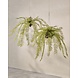 SILK-KA Kunst hangplant varen groen 119 cm / SILK-KA SILK-KA Kunst hangplant varen groen 119 cm / SILK-KA